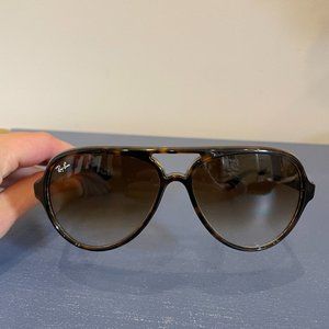 Ray-Ban RB4376 in Polished Havana